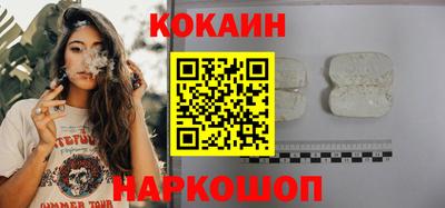 шишки Новодвинск
