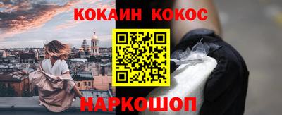 шишки Новодвинск