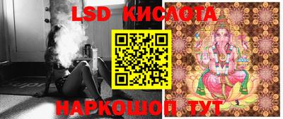 шишки Новодвинск