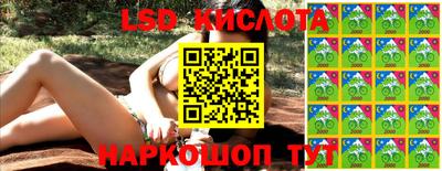 шишки Новодвинск