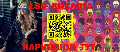 шишки Новодвинск