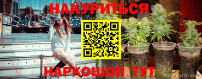 шишки Новодвинск