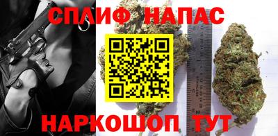 шишки Новодвинск