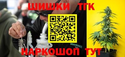 шишки Новодвинск