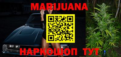 шишки Новодвинск