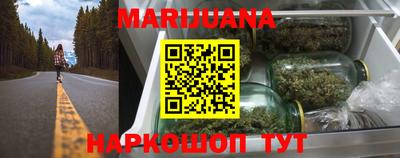 шишки Новодвинск