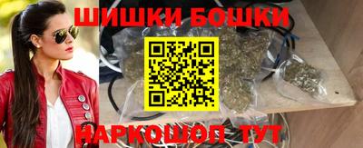 шишки Новодвинск