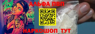 шишки Новодвинск
