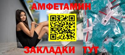 шишки Новодвинск