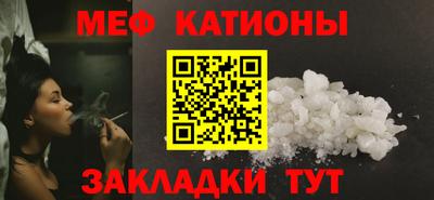 шишки Новодвинск